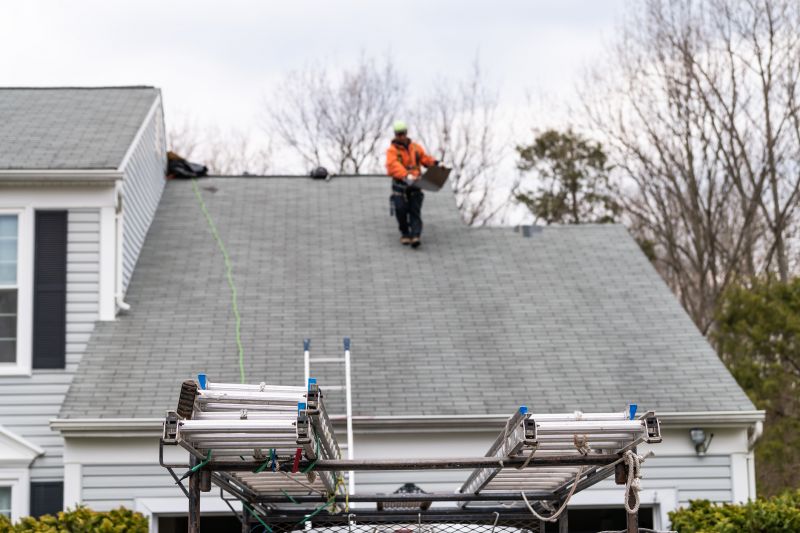 Experienced Roofing Professionals